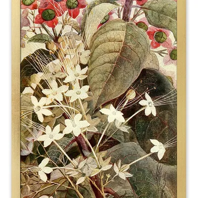 Obraz - tropikalne liście i kwiaty - 33x43cm - g114912