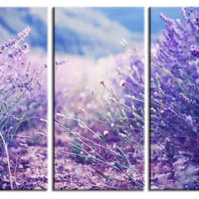 Lawenda - o świcie - 45x90 cm x3 - g17777