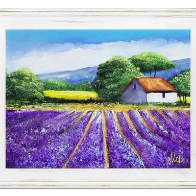 Pola lawendowe - lawendowa sielanka - 40x50 cm - g15658