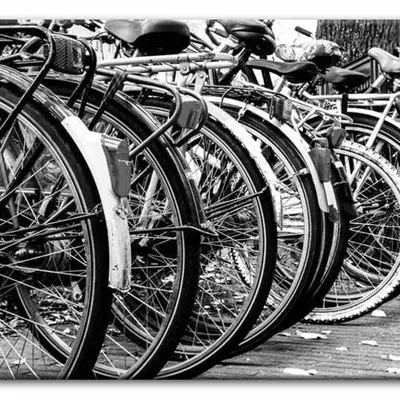 Motodreams - rowery - 60x90 cm - g93030