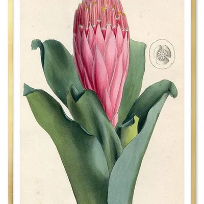Obraz - tropikalne liście i kwiaty - 63x93cm - g103504