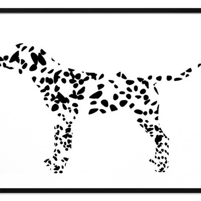 Obraz drukowany - zwierzęta - 63x93 cm - g112264