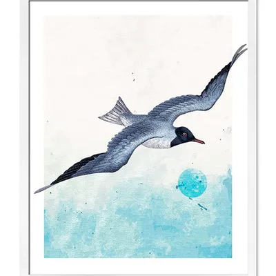 Obraz - ptaki - 43x53cm - g112928