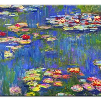 Claude monet - lilie wodne - 50x70 cm - g92520