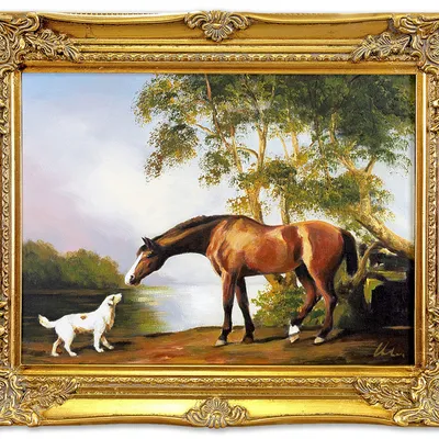 Obraz - kopie - inne - 40x50cm - g04988