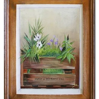 Lawenda - skrzynka z ziołami - 40x50 cm - g06521