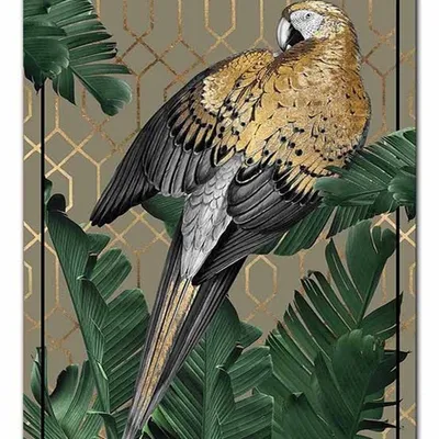 Obraz - ptaki - 50x70cm - g108991