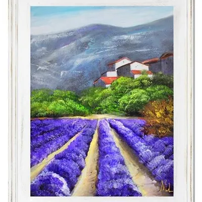 Pola lawendowe - pachnące grządki - 40x50 cm - g16307