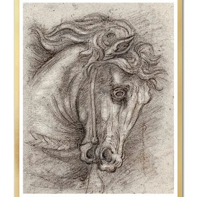 Obraz - konie - 43x53cm - g105611