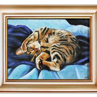 Obraz - psy i koty - 42x52cm - g03184