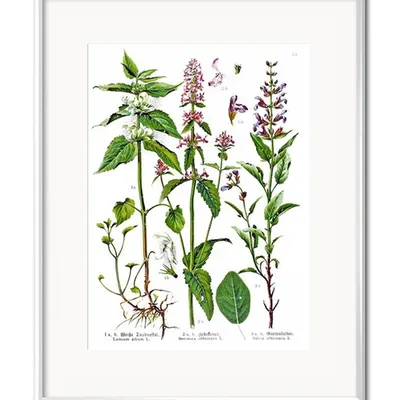 Obraz - inne - 21x26cm - g97761