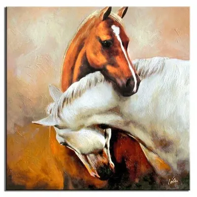 Zwierzęta - spokój - 90x90 cm - g04203