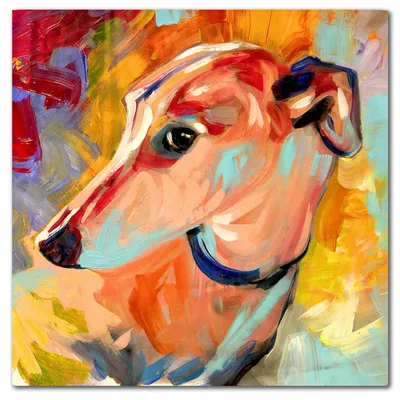 Obraz - psy i koty - 100x100cm - g118992