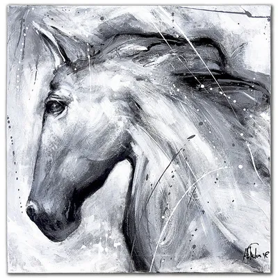 Obraz - konie - 90x90cm - g104963