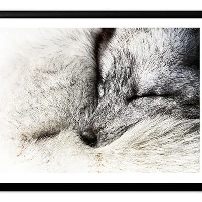 Obraz - inne - 33x43cm - g100657