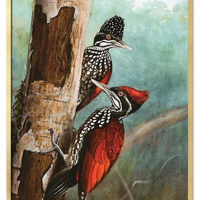 Obraz - ptaki - 53x73cm - g113473