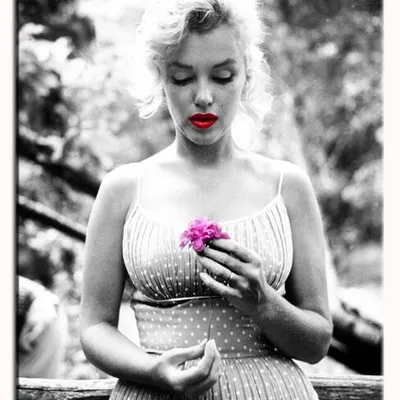 Marilyn monroe - z kwiatem - 40x50 cm - g17638