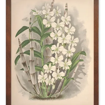 Obraz - tropikalne liście i kwiaty - 33x43cm - g115584