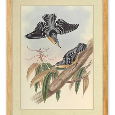 Obraz - ptaki - 33x43cm - g114916