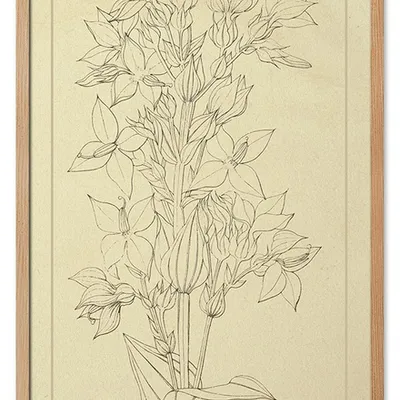 Obraz - inne - 53x73cm - g114940