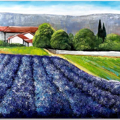 Obraz olejny - pola lawendowe - 60x90 cm - g118484
