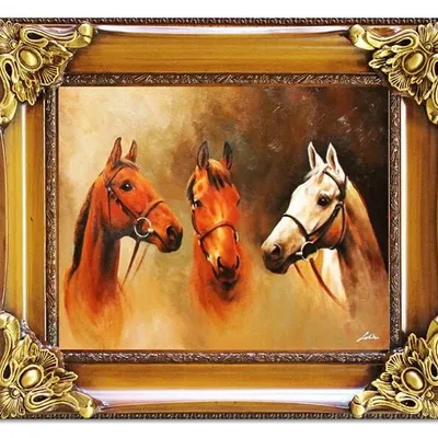 Zwierzęta - trzy młode konie - 65x75 cm - g03497