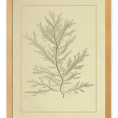 Obraz - inne - 33x43cm - g114920