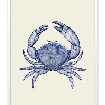 Obraz - inne - 53x73cm - g103329