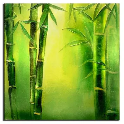 Feng shui - bambusowy las - 60x60 cm - g01642