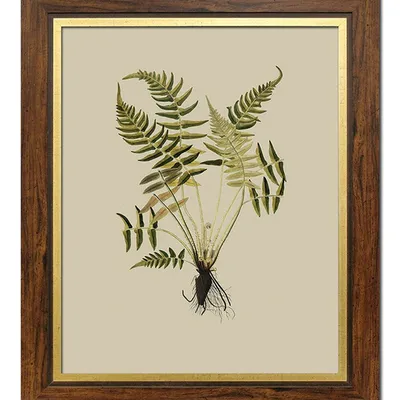 Obraz - inne - 51x61cm - g112689