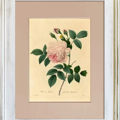 Obraz - inne - 39x49cm - g93324