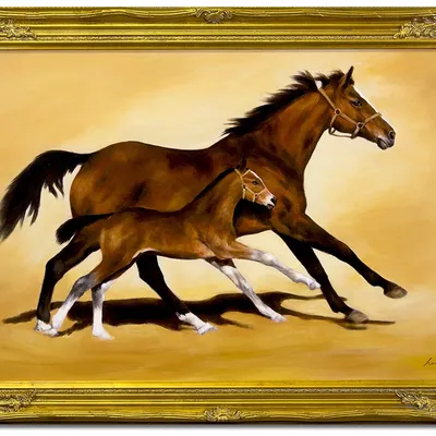 Obraz - konie - 74x104cm - g103150