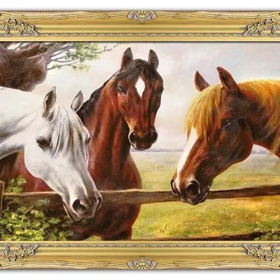 Zwierzęta - w stadninie - 75x105 cm - g04434