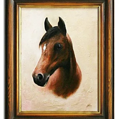 Zwierzęta - w gotowości - 40x50 cm - g02570