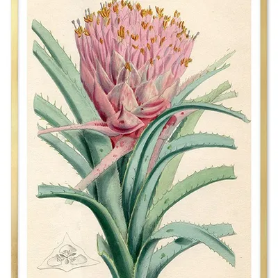 Obraz - tropikalne liście i kwiaty - 63x93cm - g103503