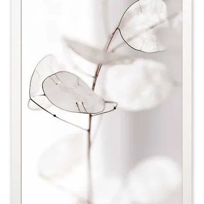 Obraz - inne - 33x43cm - g116364