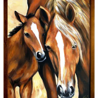 Obraz - konie - 43x53cm - g119861