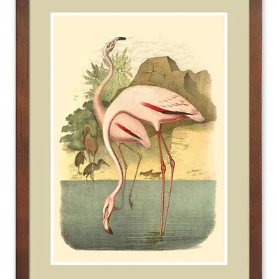 Obraz - ptaki - 33x43cm - g114830