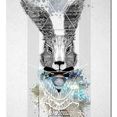 Obraz - inne - 60x90cm - g99313