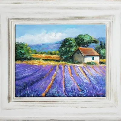 Pola lawendowe - lawendowa sielanka - 66x76 cm - g16877