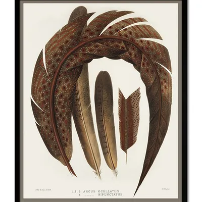 Obraz - ptaki - 43x53cm - g102580