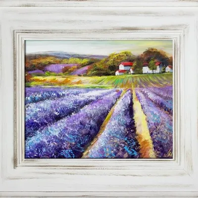 Pola lawendowe - kwitąca pora - 66x76 cm - g16566