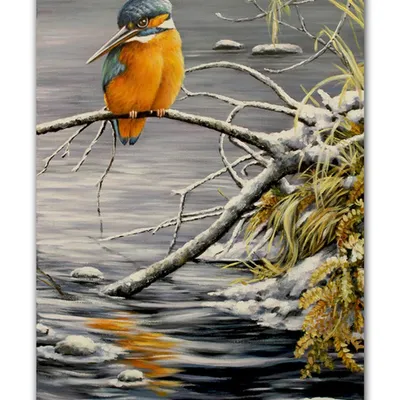 Obraz - premium inne - 50x70cm - g116409