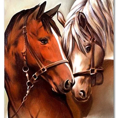 Obraz - konie - 80x120cm - g119341