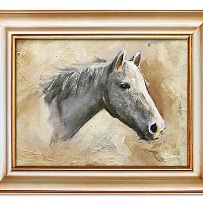Obraz - konie - 42x52cm - g03721