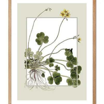 Obraz - inne - 33x43cm - g104239