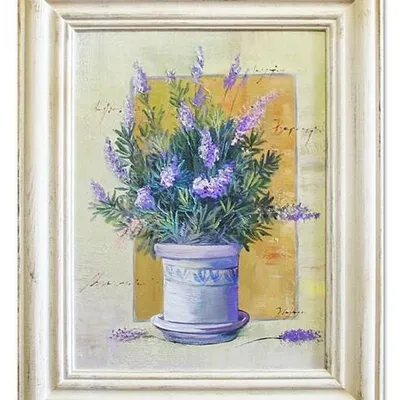 Lawenda - w białej doniczce - 40x50 cm - g06273