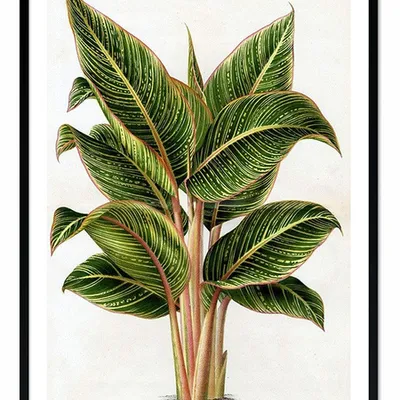 Obraz - tropikalne liście i kwiaty - 53x73cm - g107885