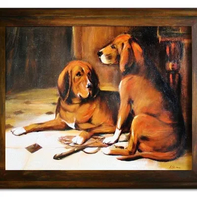 Obraz - psy i koty - 39x49cm - g03580