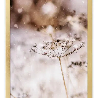 Obraz - inne - 33x43cm - g118102